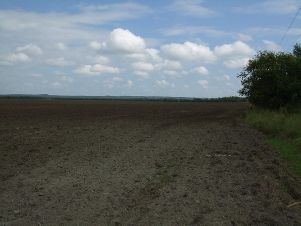 20140227022410215.jpg 20140227022410215.jpg